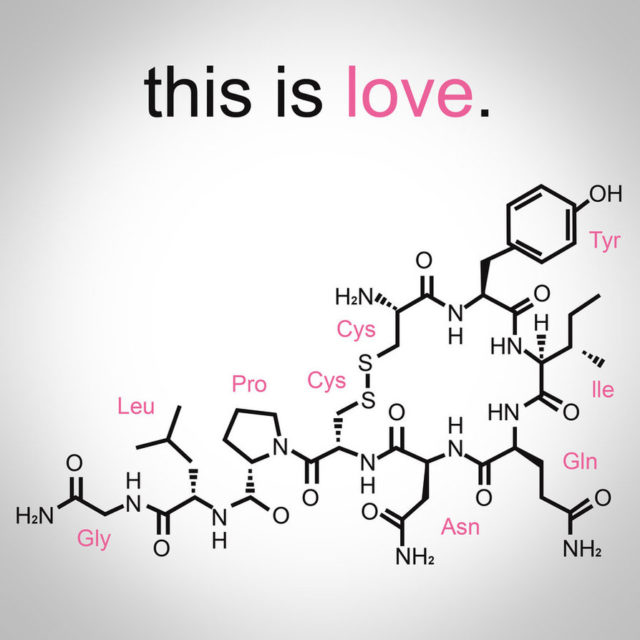 Molekul oksitosin. Sumber gambar: http://www.grass-ceiling.com/wp-content/uploads/2015/02/oxytocin_molecule.jpg